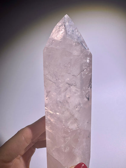 Selten klare Rosenquarz Spitze 16 cm gross