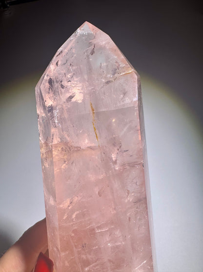 Rosenquarz Spitze 17 cm – Extra klare Qualität aus Brasilien in zartem Rosa 💗