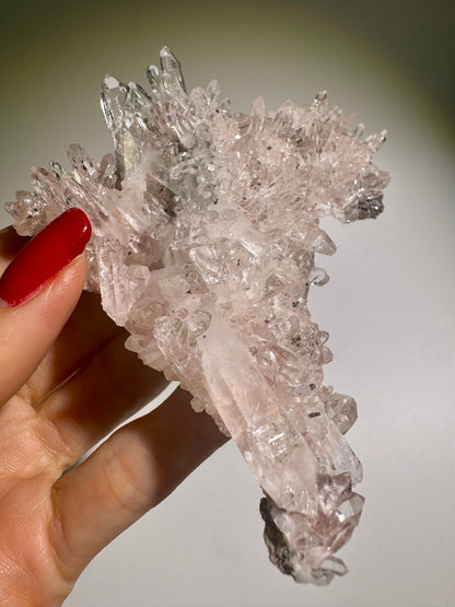 Grosser bezaubernder Pink Lemurian Cluster 💖 – klare, unzählige Spitzen