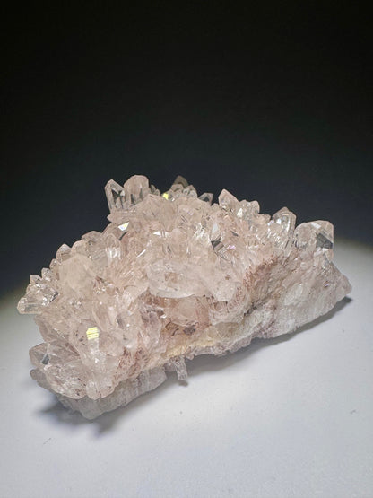 Bezaubernde rosa Lemurian Stufe 💖 - 7.5cm