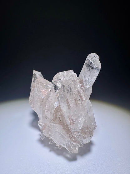 Süsser Pink Lemurian Stufe 💖 - 5cm