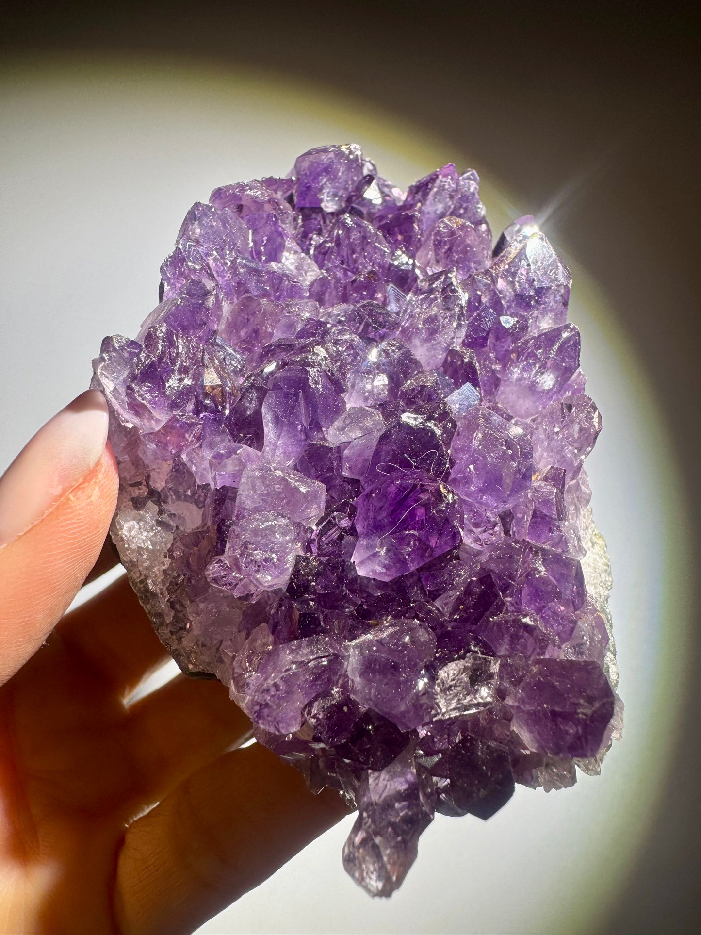 Amethystdruse aus Uruguay (9 x 5,5 cm, 292 g) – Wunderschöne grosse Kristalle