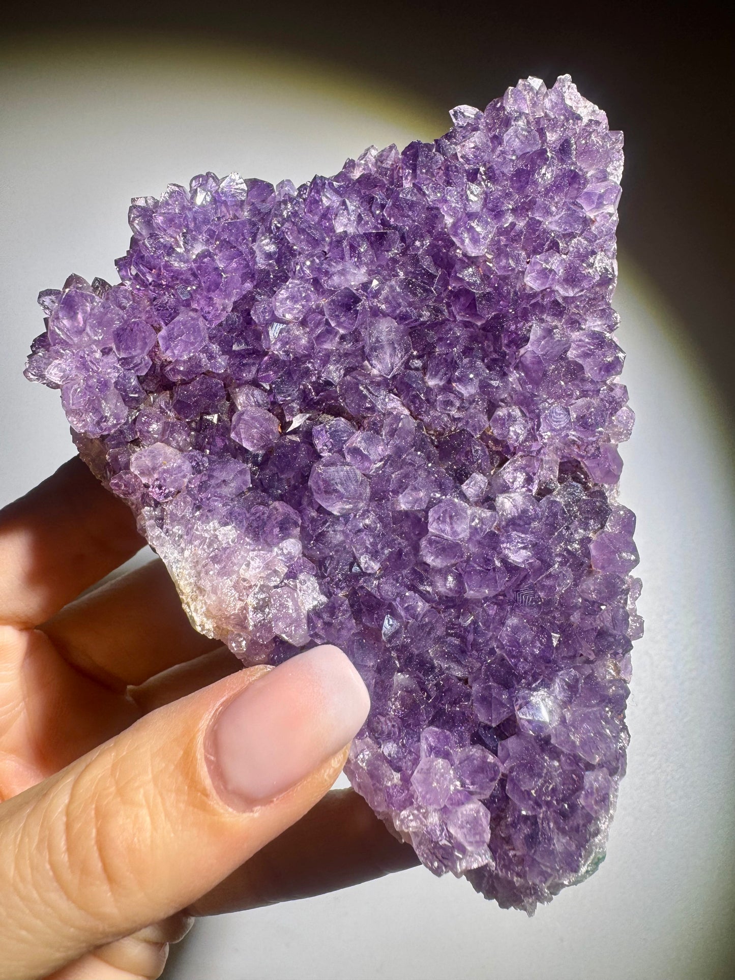 Feine Amethyst Kristalle auf Druse 10,5 cm Länge 6,5 cm Breite 270 g