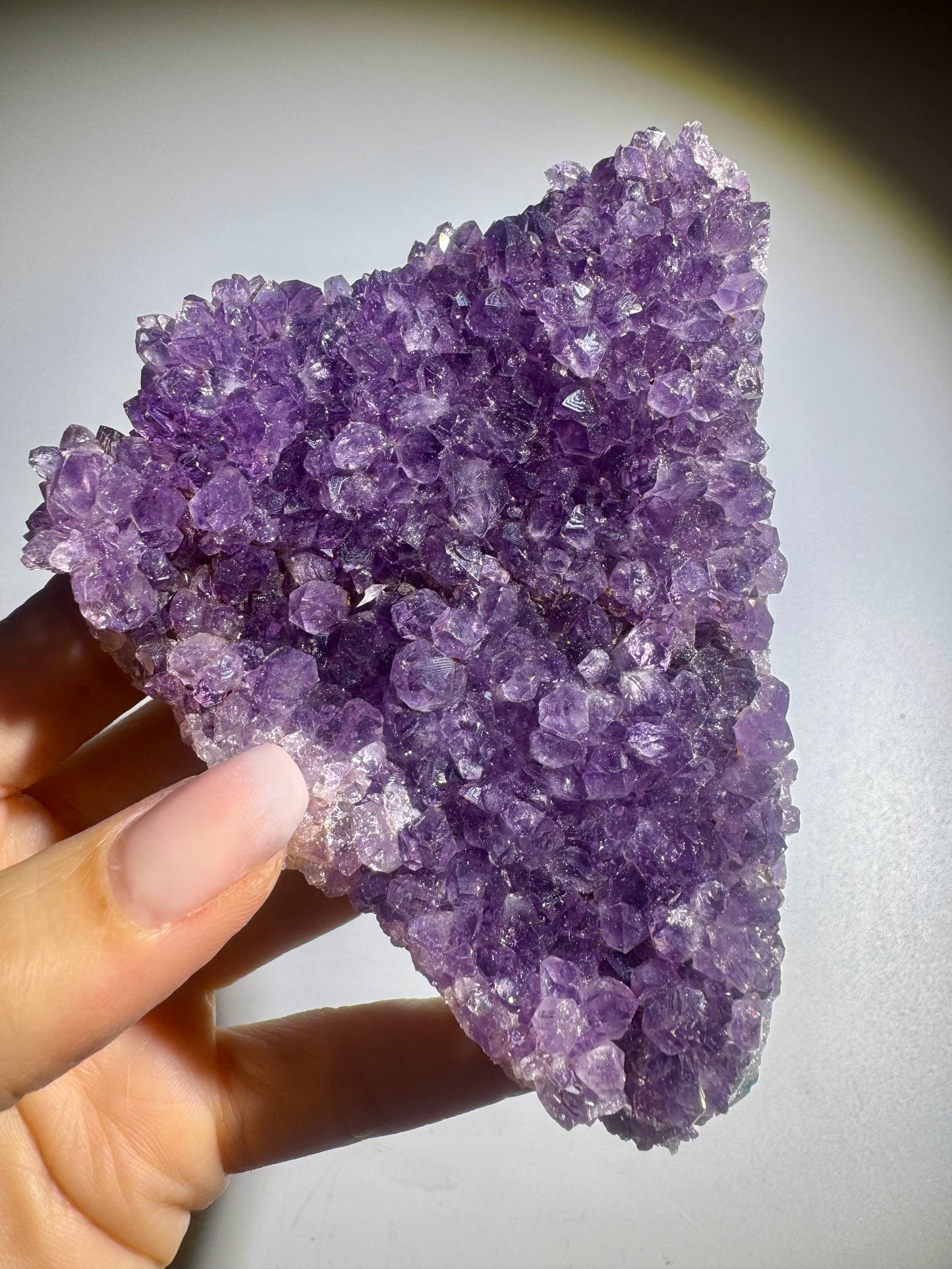 Feine Amethyst Kristalle auf Druse 10,5 cm Länge 6,5 cm Breite 270 g
