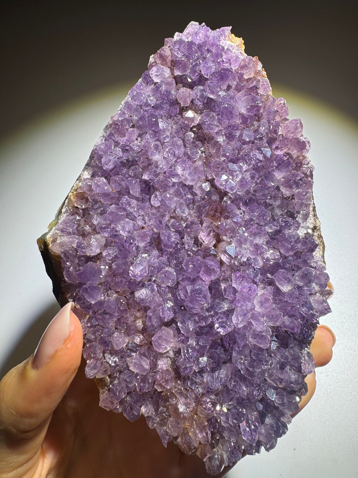 Edle Amethyst Druse 13 x 9 cm – 275 g mit satter Farbintensität