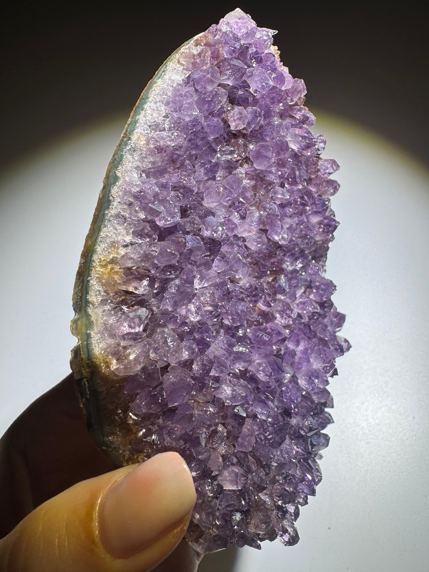 Edle Amethyst Druse 13 x 9 cm – 275 g mit satter Farbintensität