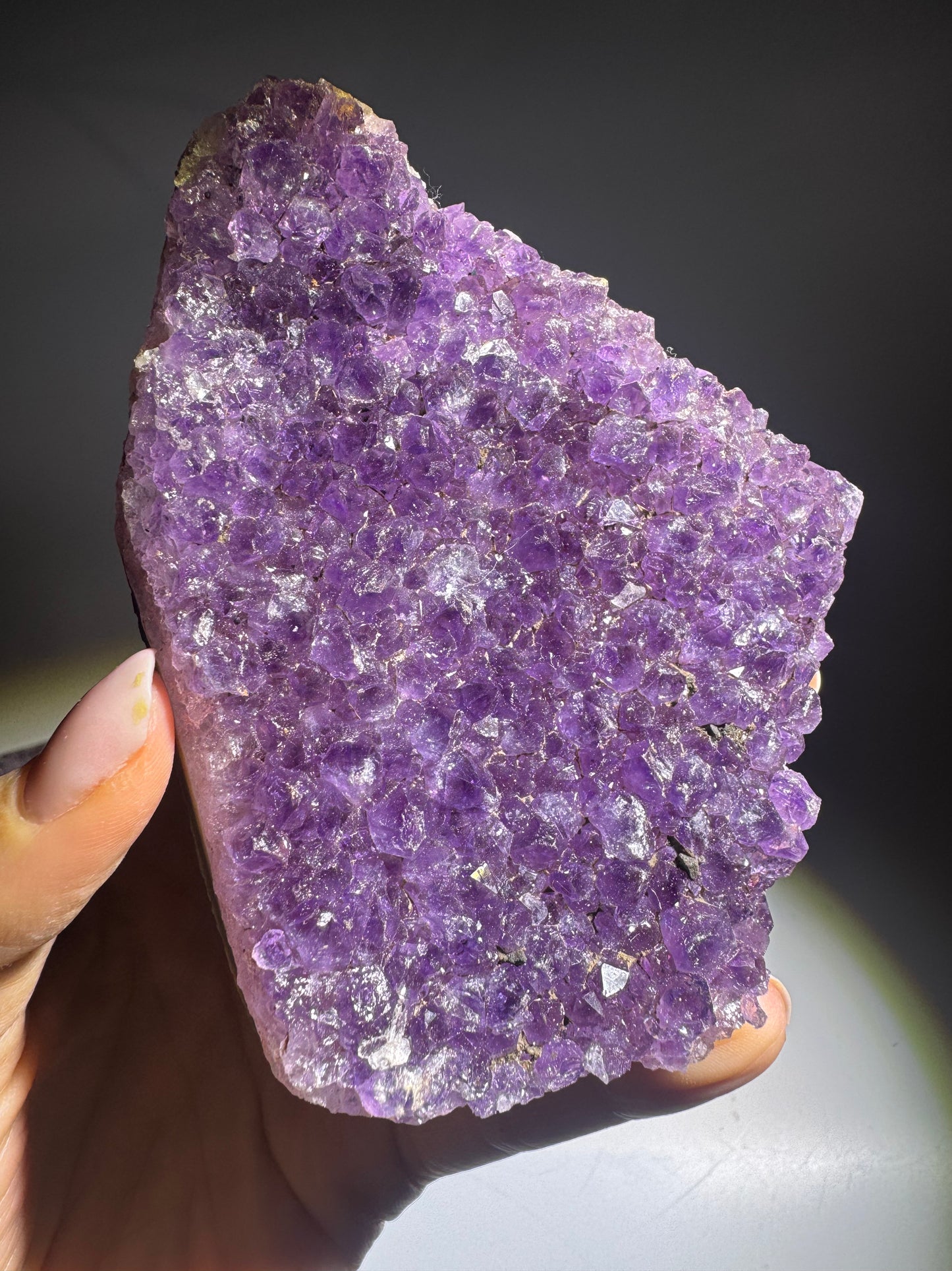 Bezaubernde Amethyst Druse 10,8 x 7,8 cm – 302 g aus Uruguay