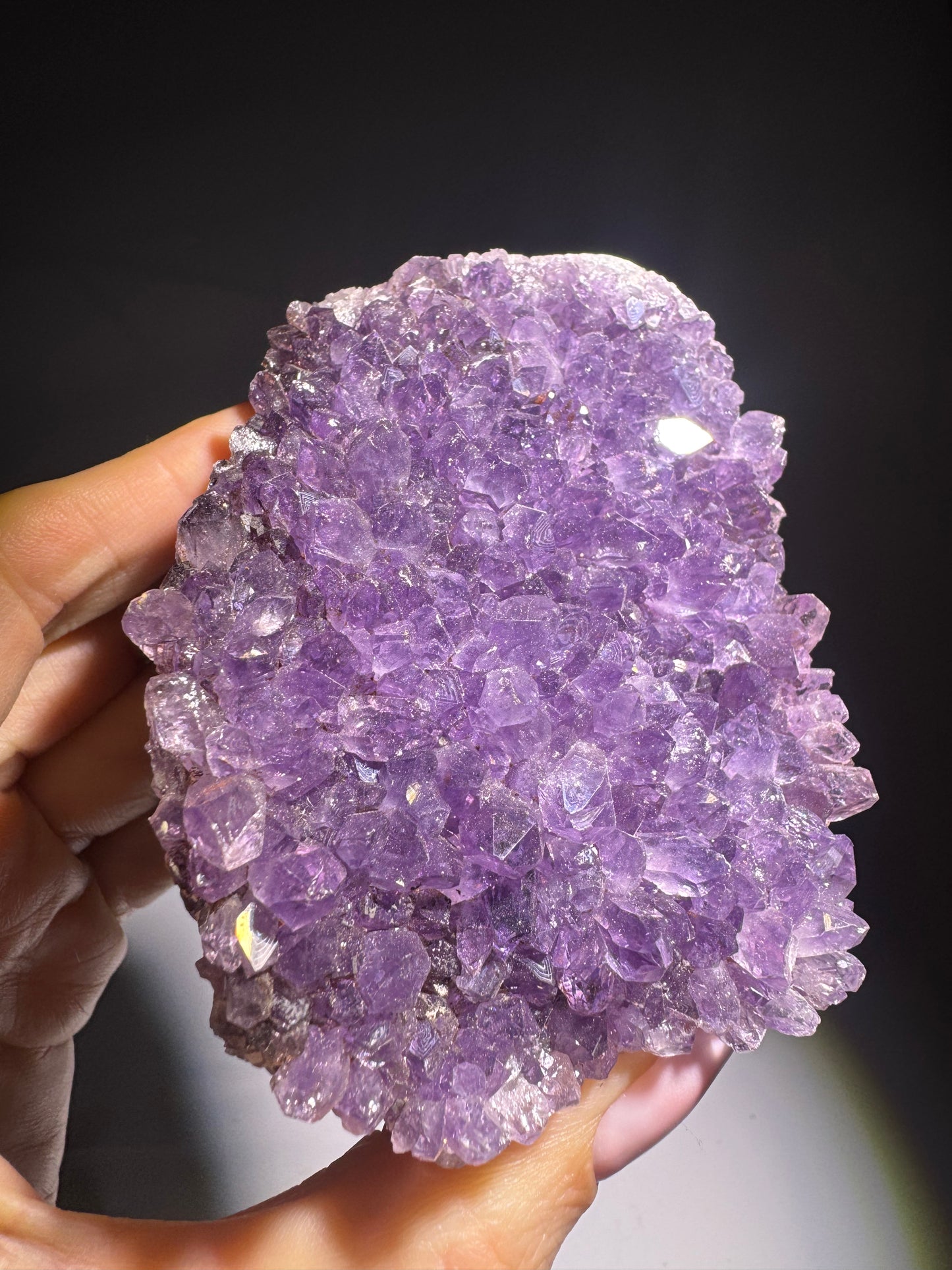 Intensiv violette Amethyst Druse 9,5 x 7 cm – 328 g aus Uruguay