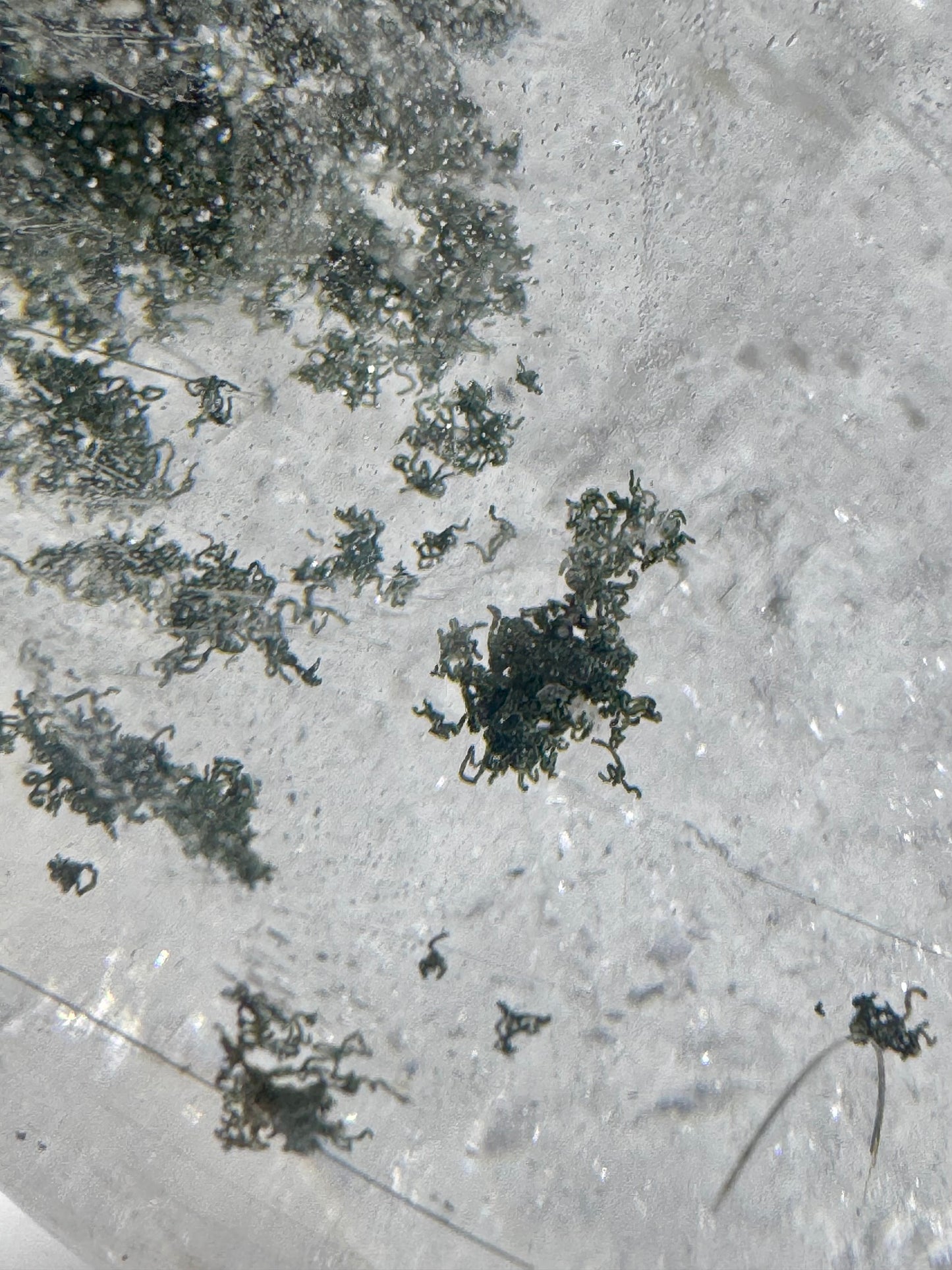 Riesige Garden-Quarz Kugel 13 cm · 3.63 kg – Chlorid-Einschlüsse & Regenbogen