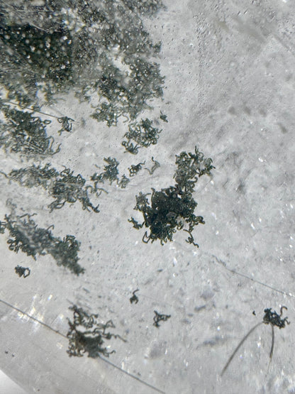 Riesige Garden-Quarz Kugel 13 cm · 3.63 kg – Chlorid-Einschlüsse & Regenbogen