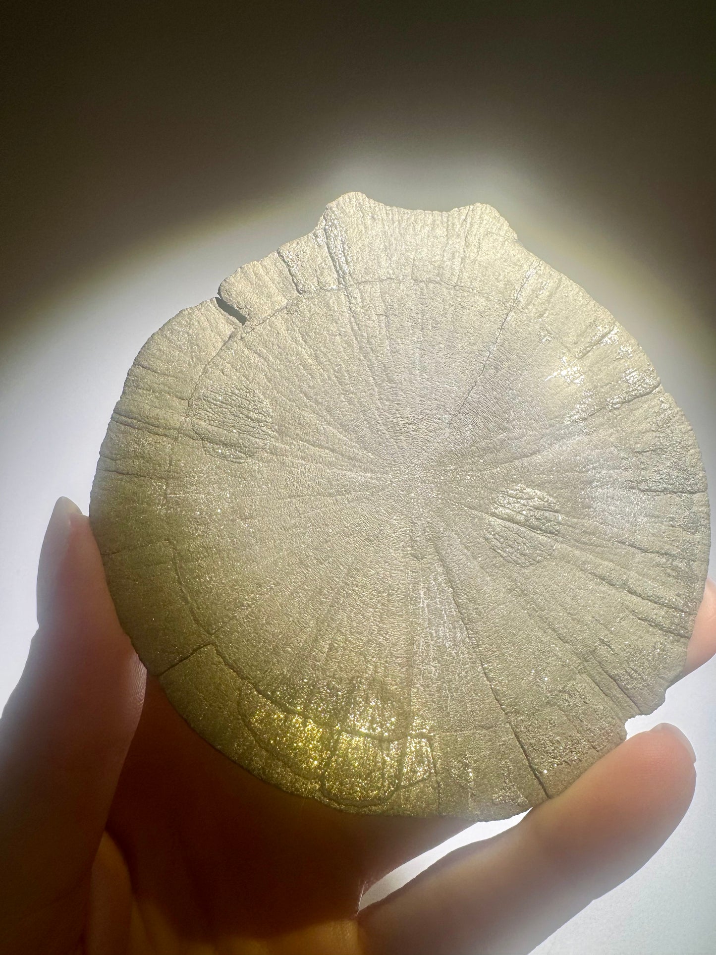 Pyritsonne 9 cm 132 g | Rundes Exemplar in Sammlerqualität