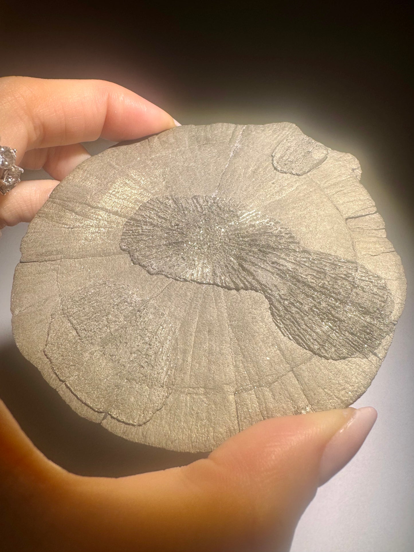 Pyritsonne 9 cm 132 g | Rundes Exemplar in Sammlerqualität