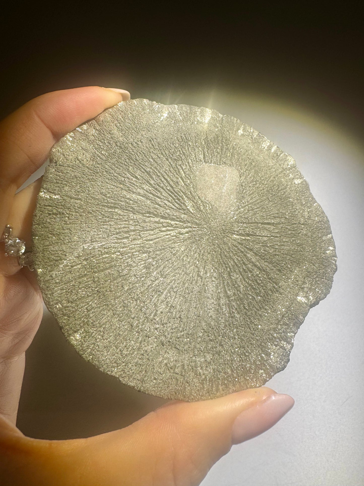 Pyritsonne 8.5 cm 120 g | Natürliche Mineral Sun USA