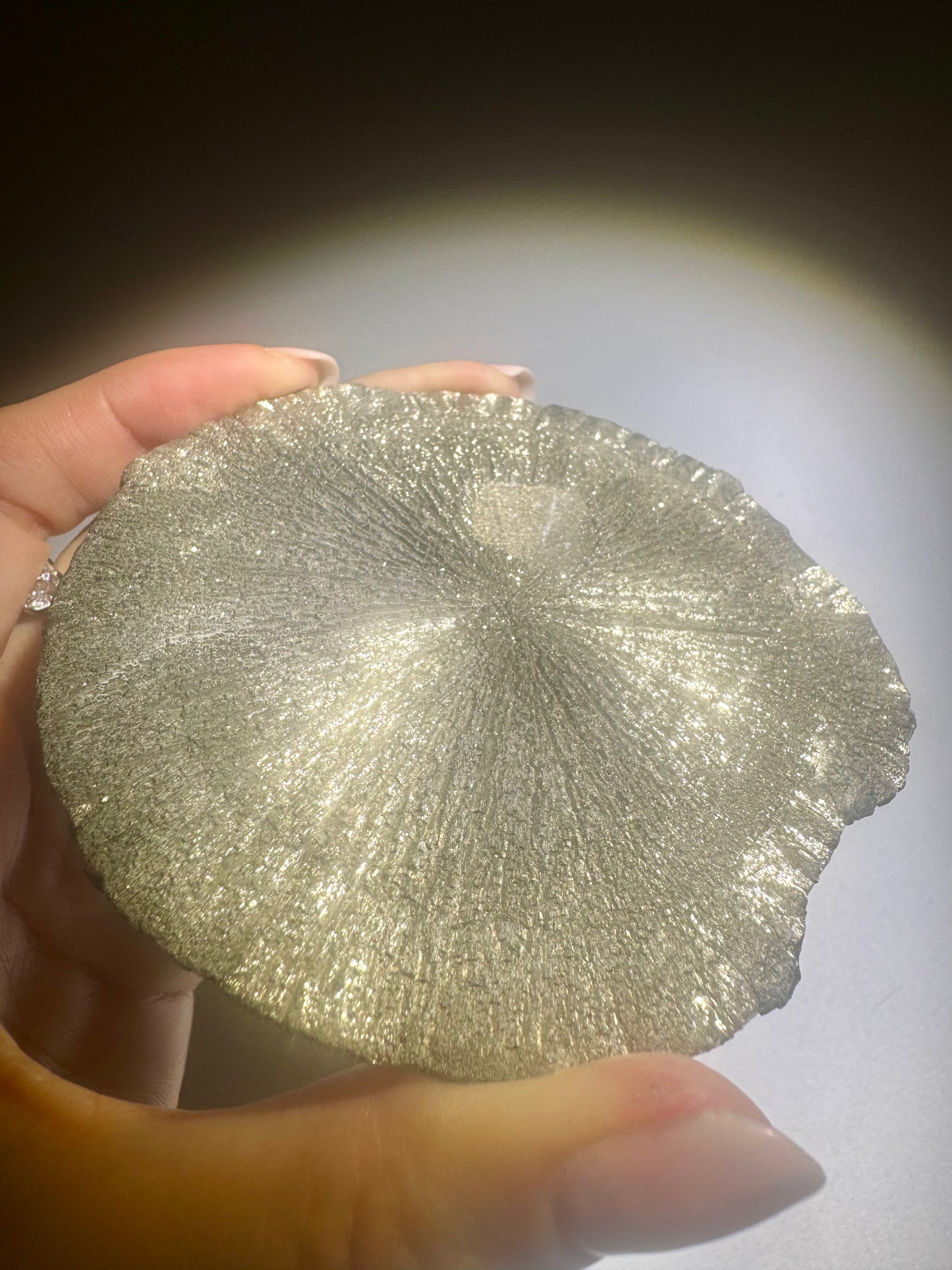 Pyritsonne 8.5 cm 120 g | Natürliche Mineral Sun USA