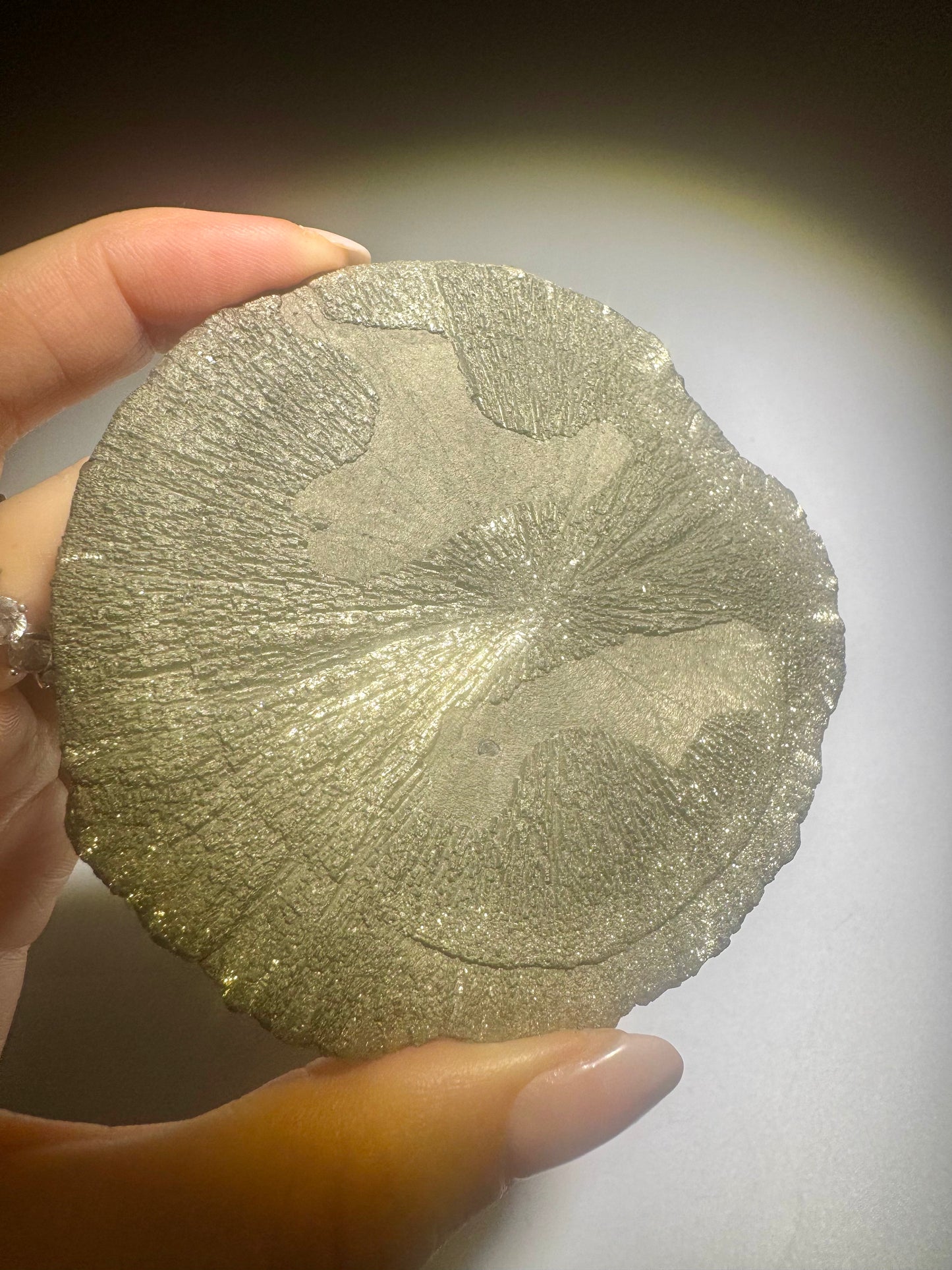 Pyritsonne 8.5 cm 120 g | Natürliche Mineral Sun USA