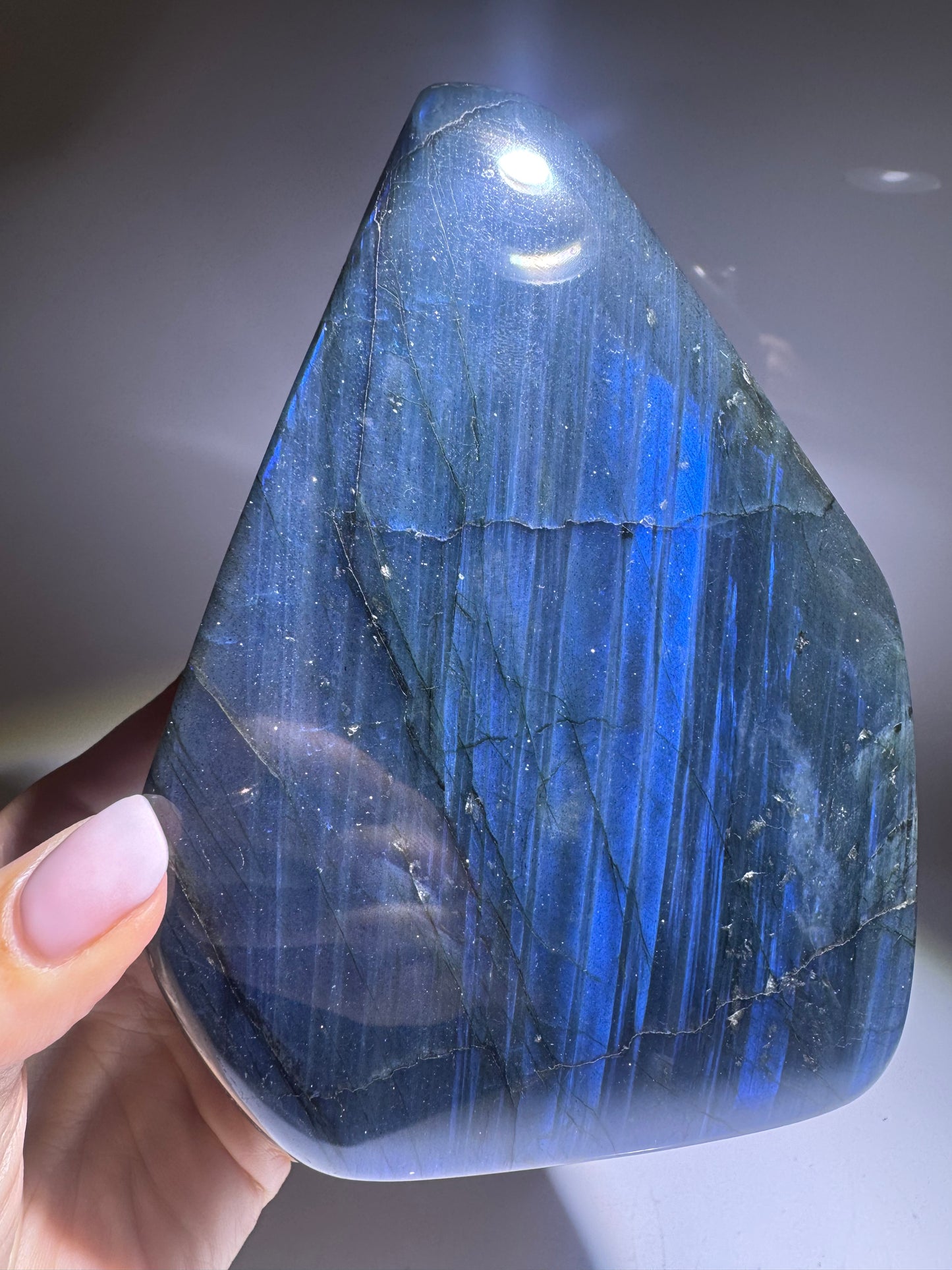 Labradorit Freeform 13.4 cm | Tiefblaues Traumstück aus Madagaskar