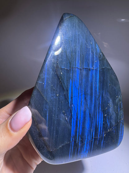 Labradorit Freeform 13.4 cm | Tiefblaues Traumstück aus Madagaskar