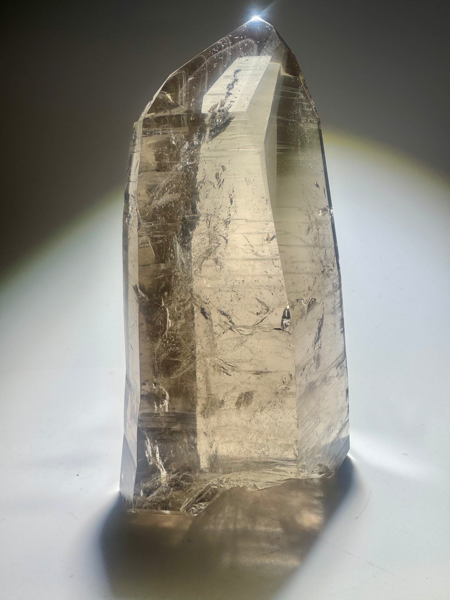 Lemurian Rauchquarzspitze – naturbelassen | 12 cm | 441 g (1A Qualität)