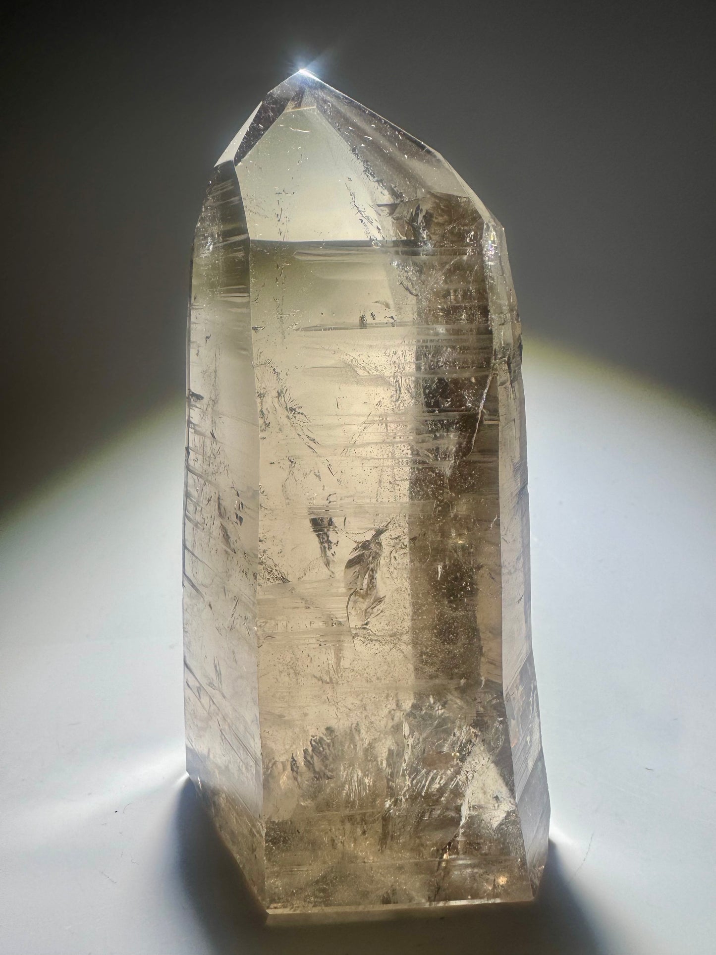 Lemurian Rauchquarzspitze – naturbelassen | 12 cm | 441 g (1A Qualität)
