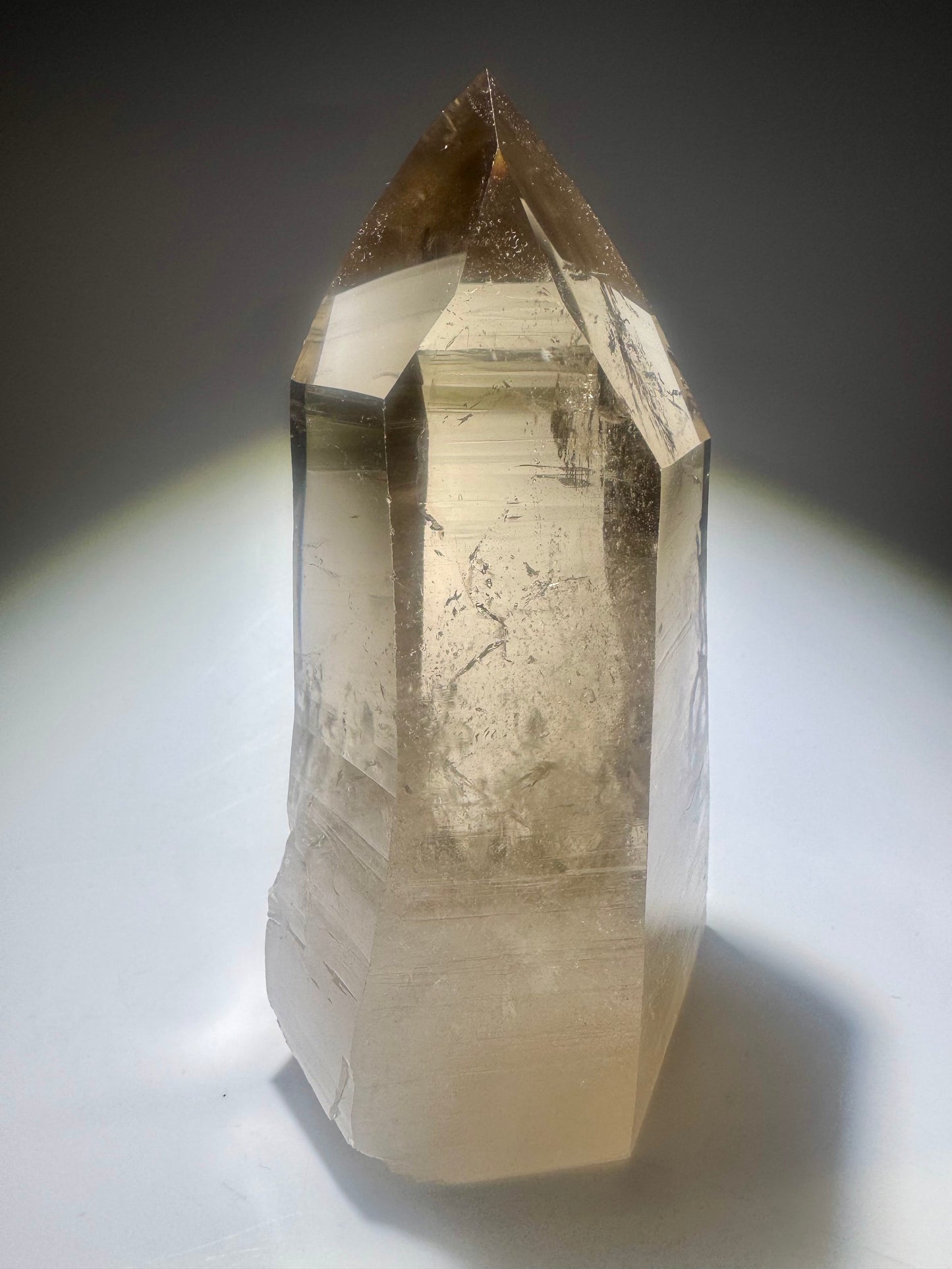 Lemurian Rauchquarzspitze – naturbelassen | 13 cm | 559g (1A Qualität)