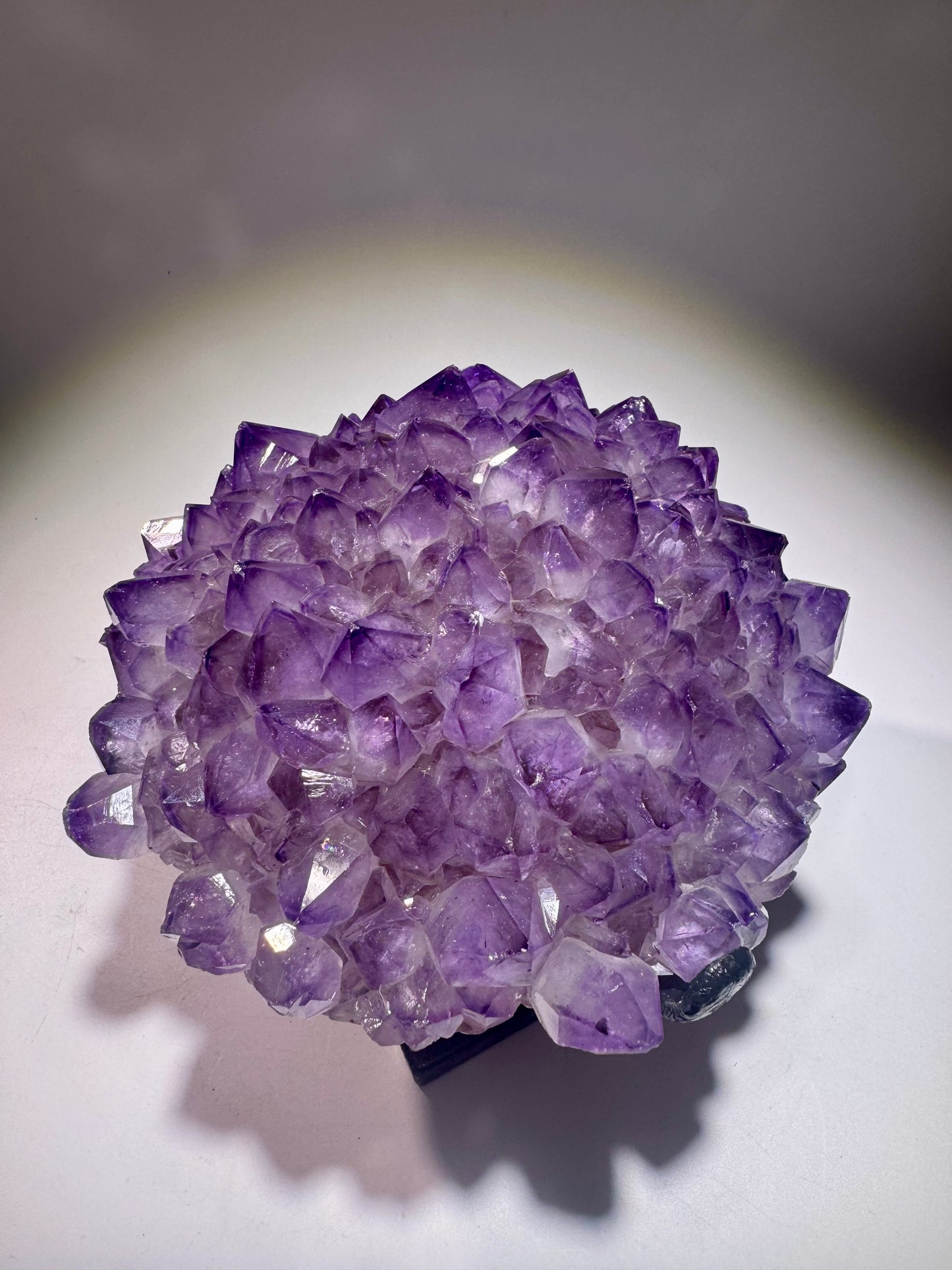 Exklusive Amethyst Blüte/Blume 14.5cm – 1.42kg | Perfekte Spitzen mit Phantomen | Stalaktit Unikat aus Uruguay