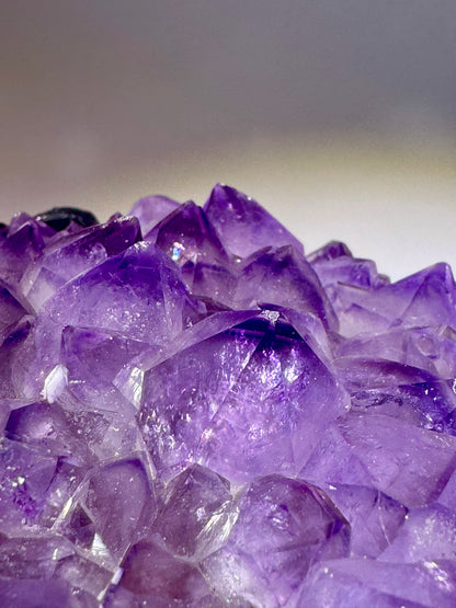 Exklusive Amethyst Blüte/Blume 14.5cm – 1.42kg