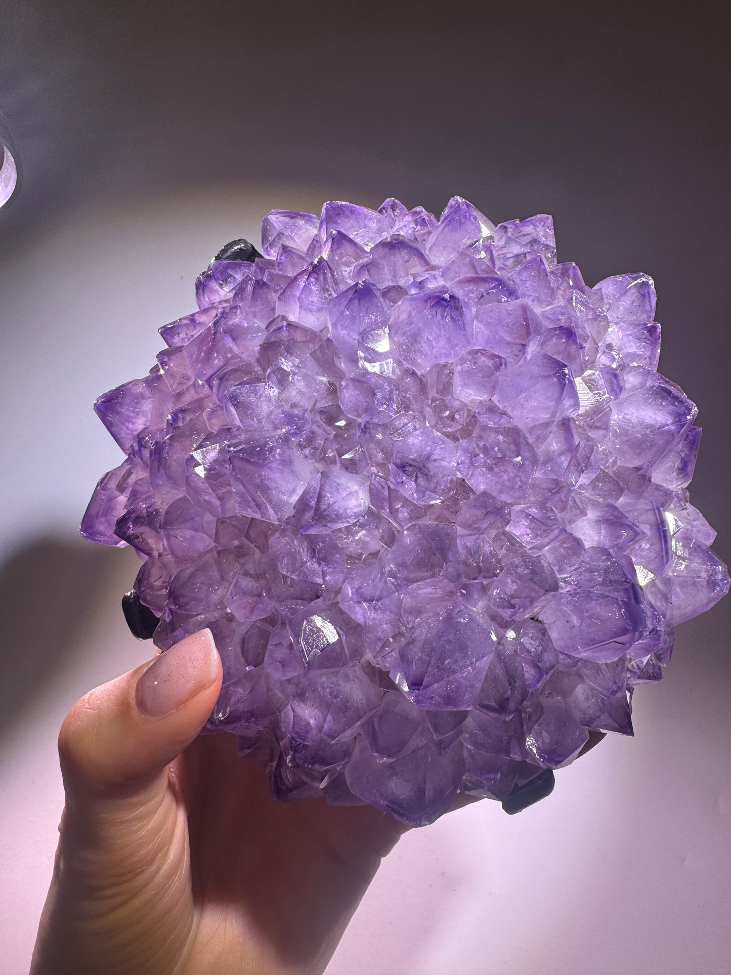 Exklusive Amethyst Blüte/Blume 14.5cm – 1.42kg | Perfekte Spitzen mit Phantomen | Stalaktit Unikat aus Uruguay