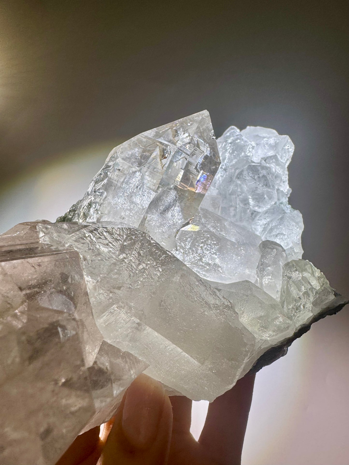 Exklusiver Himalaya Kristallstufe 💎 extra klar in Museumsqualität – 802g, 15.5x9.5cm