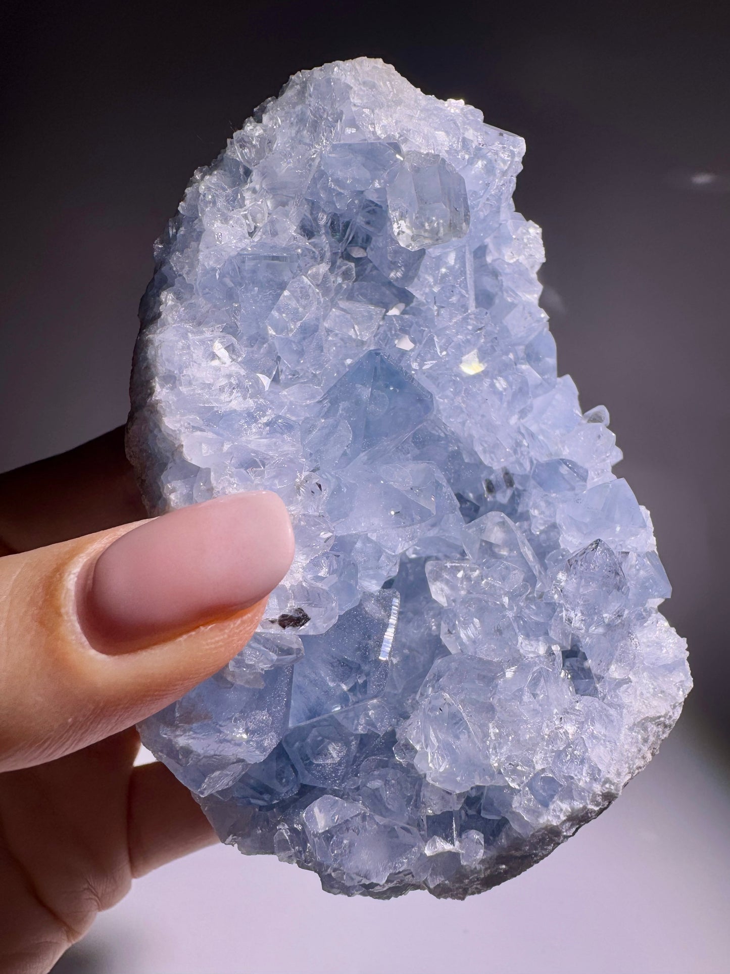 Celestin Stufe aus Madagaskar 💎 Klar & funkelnd ✨ Museumsqualität 10.5cm