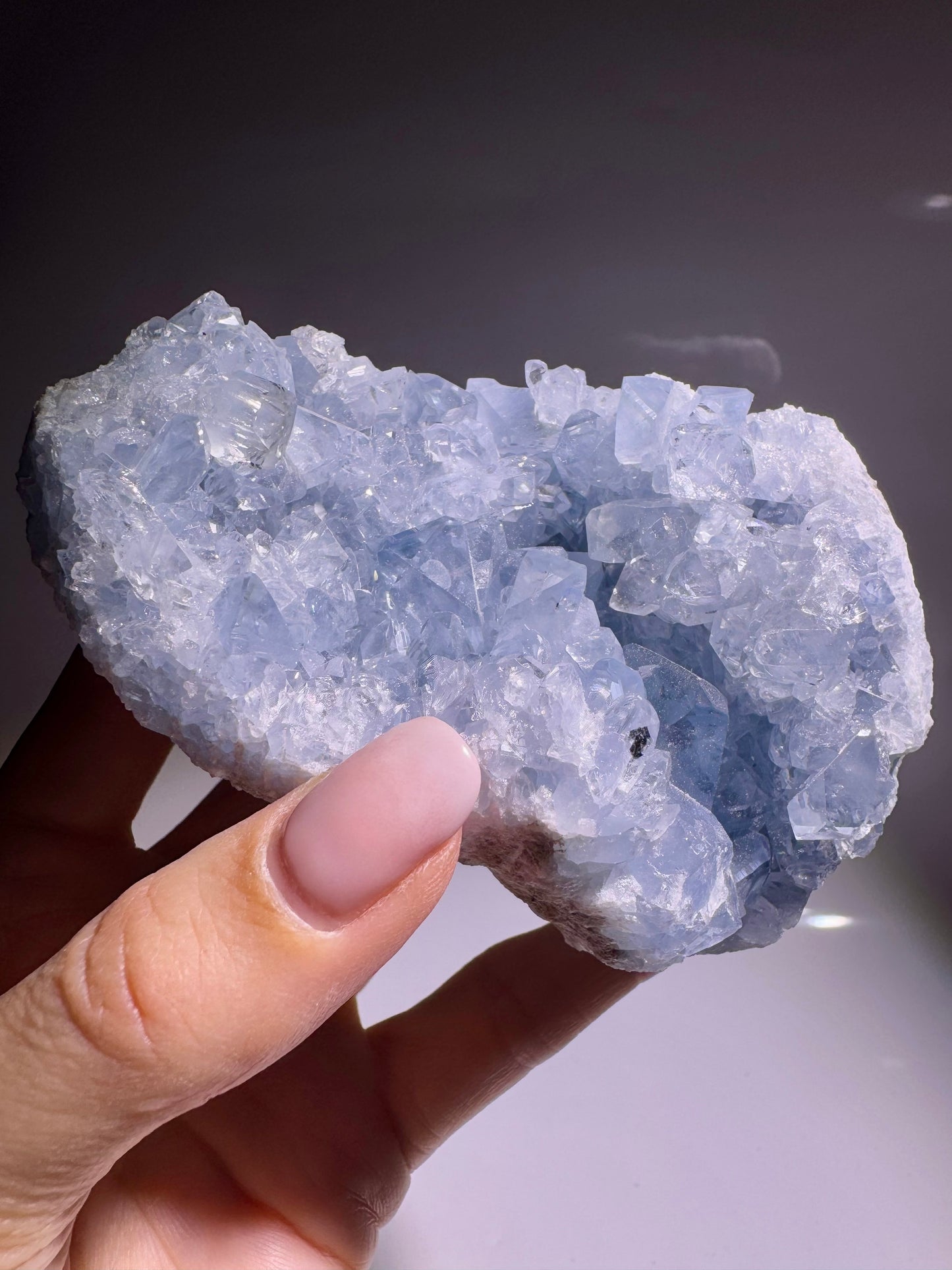 Celestin Stufe aus Madagaskar 💎 Klar & funkelnd ✨ Museumsqualität 10.5cm