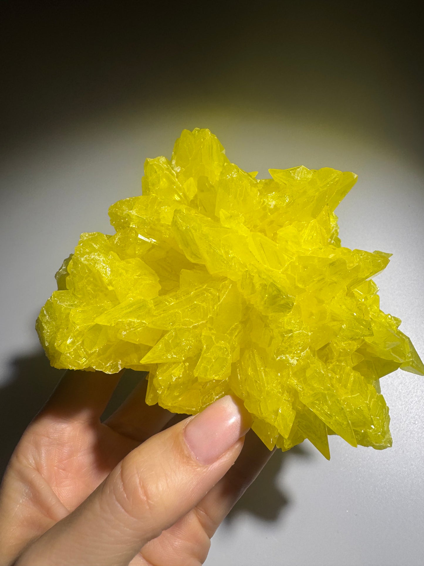 Schwefelkristall-Stufe – Leuchtend gelber Kristall 12 cm, 448 g