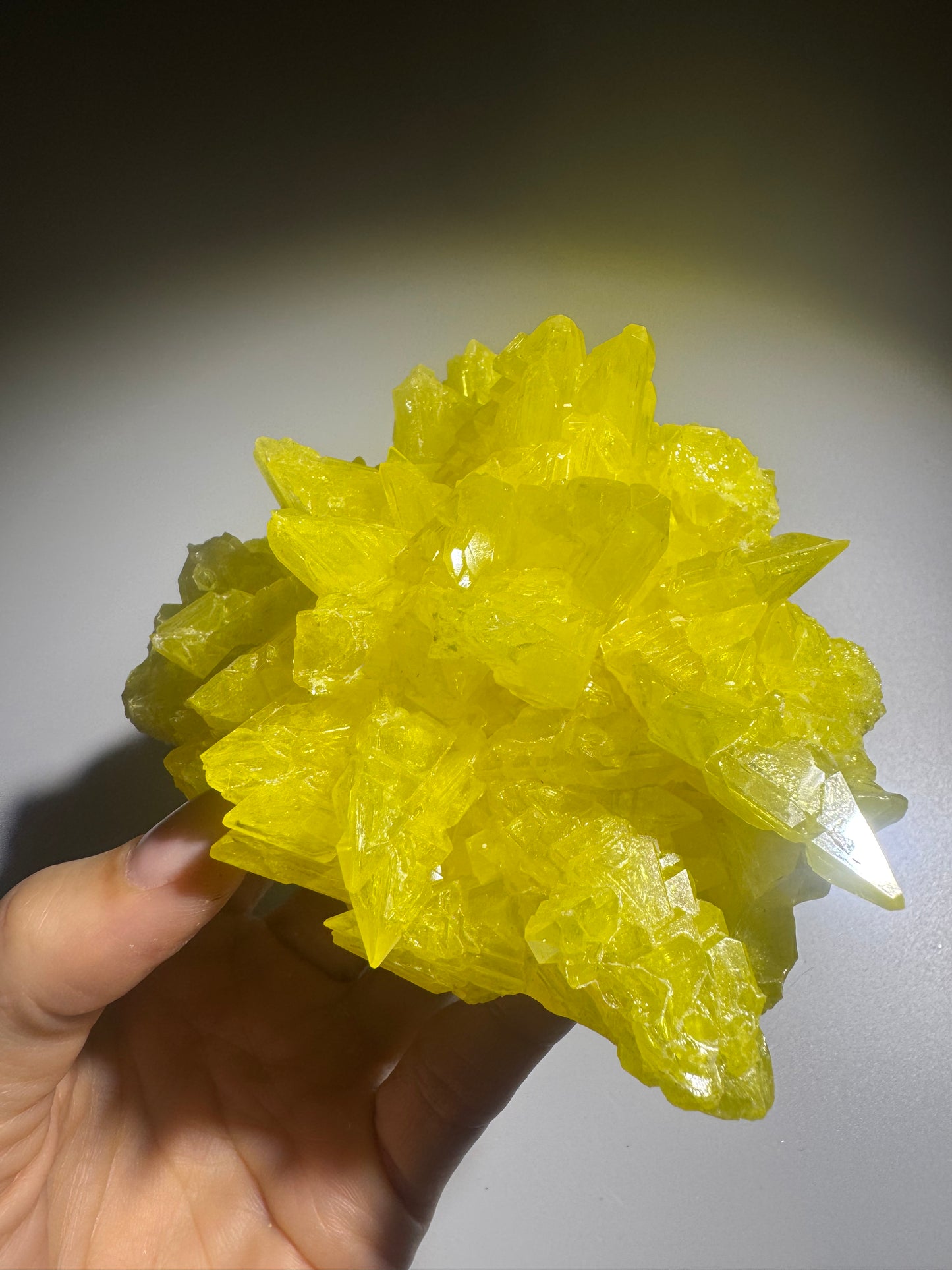 Schwefelkristall-Stufe – Leuchtend gelber Kristall 12 cm, 448 g
