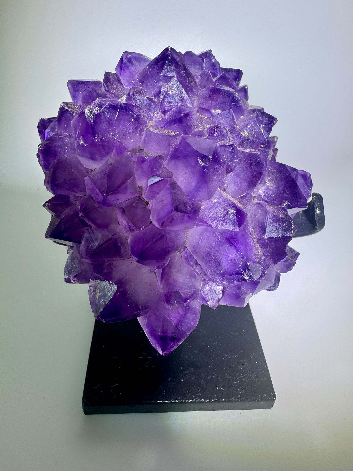 Amethystblüte 10 cm – Kristallblume mit perfekten Spitzen aus Uruguay | Extra-Qualität