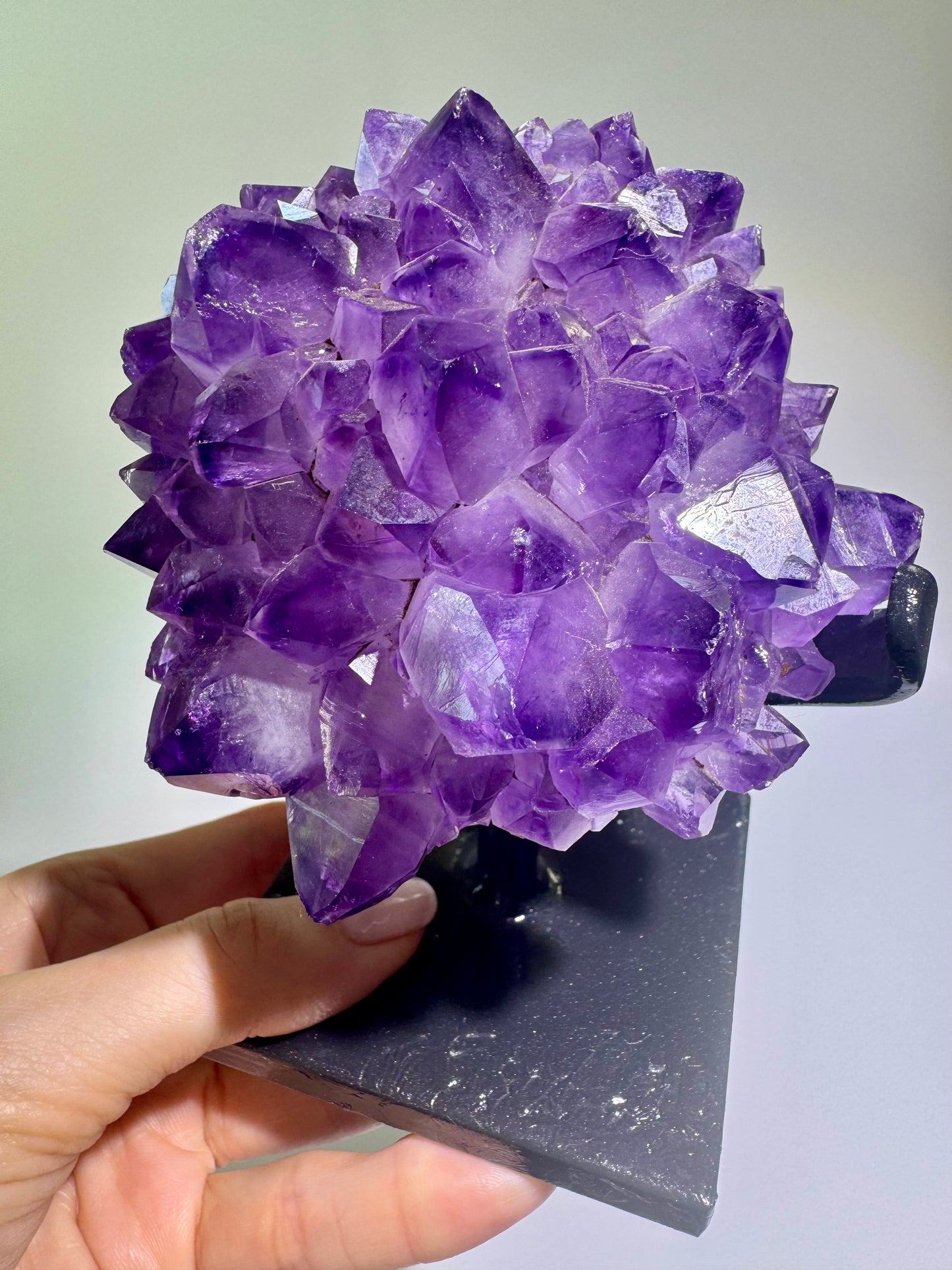 Amethystblüte 10 cm – Kristallblume mit perfekten Spitzen aus Uruguay | Extra-Qualität