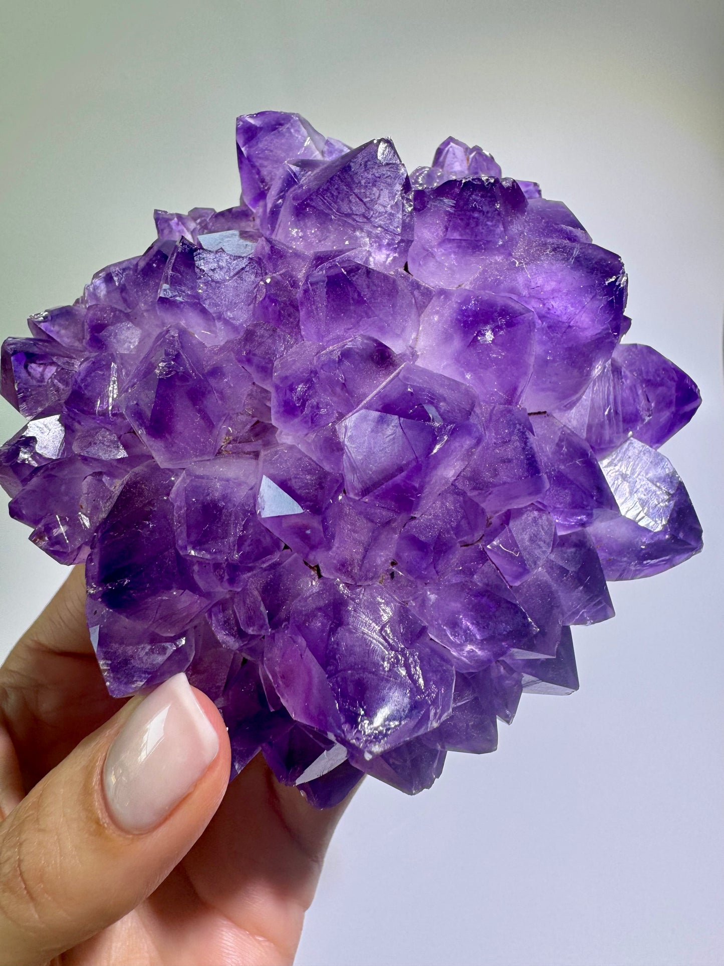 Amethystblüte 10 cm – Kristallblume mit perfekten Spitzen aus Uruguay | Extra-Qualität