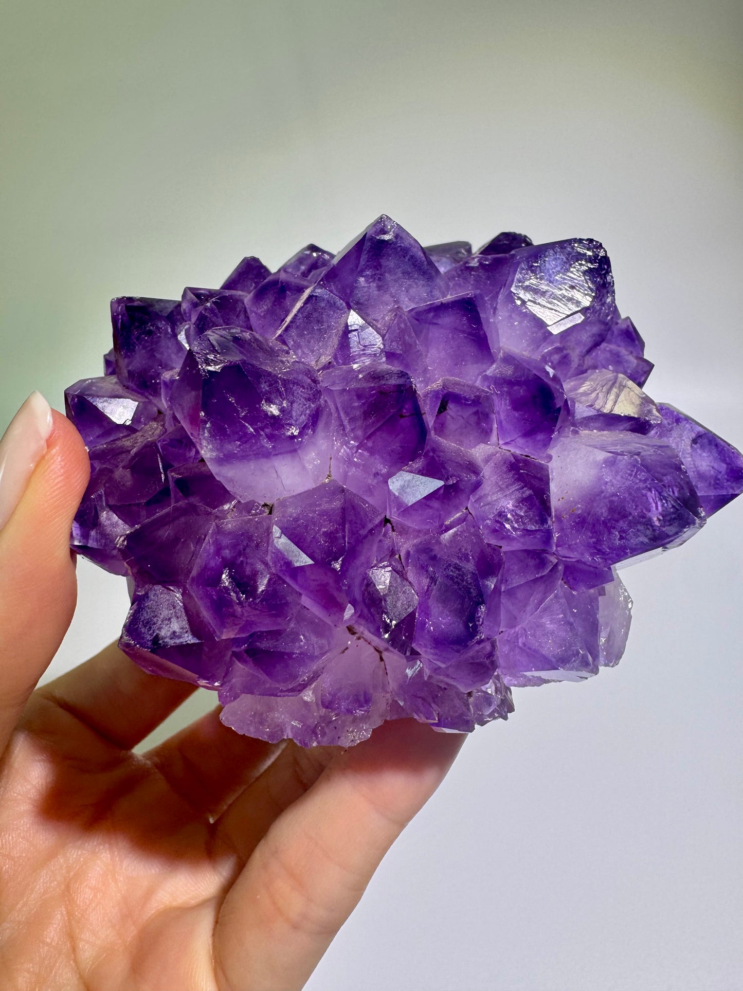 Amethystblüte 10 cm – Kristallblume mit perfekten Spitzen aus Uruguay | Extra-Qualität
