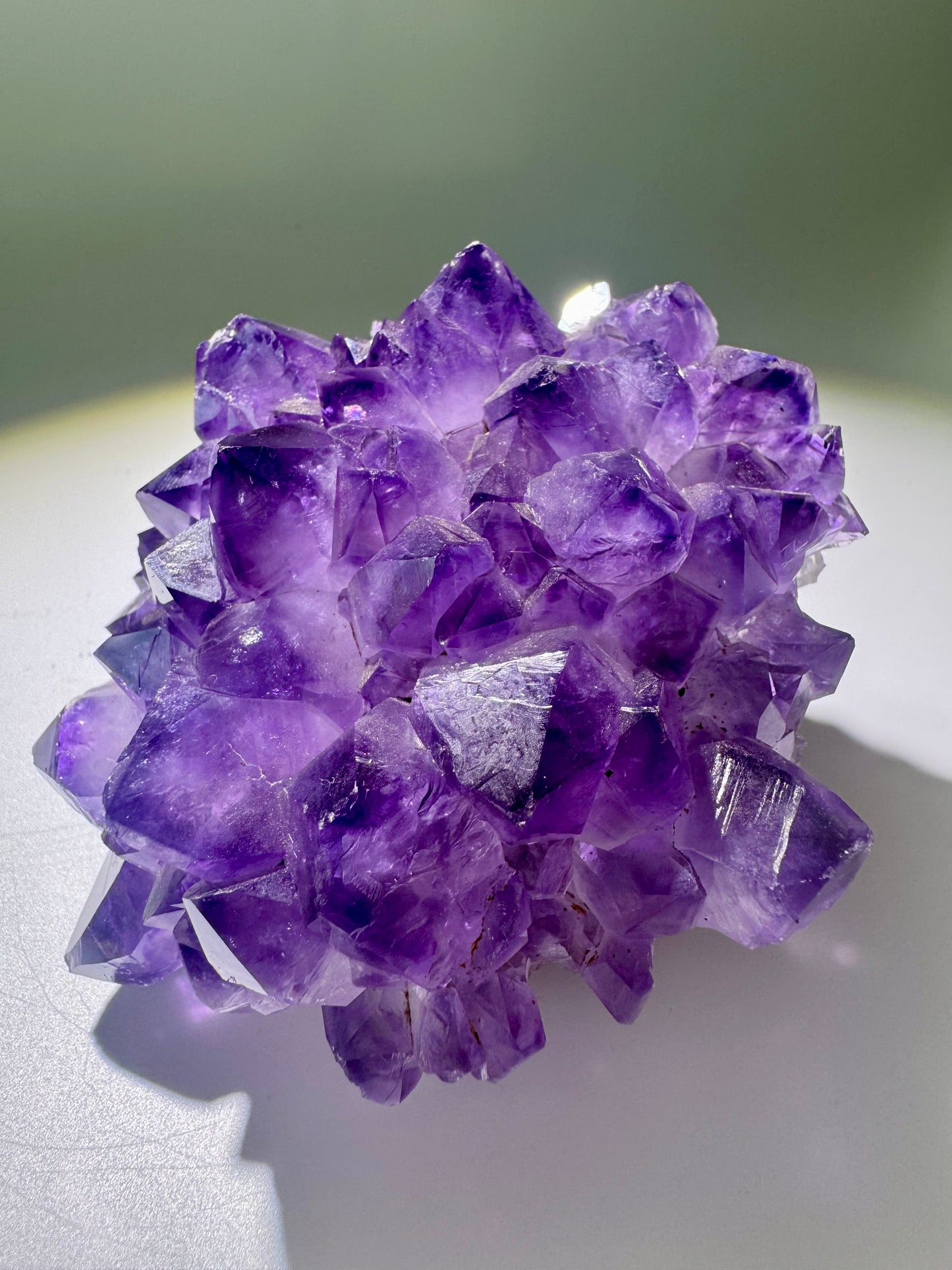 Amethystblüte 10 cm – Kristallblume mit perfekten Spitzen aus Uruguay | Extra-Qualität