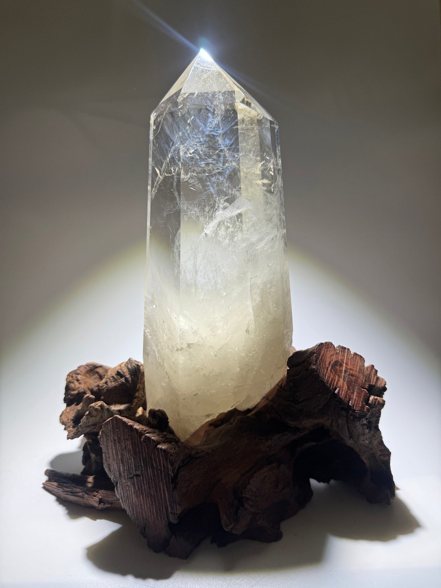 Monumentale Bergkristallspitze extraklar – Naturkristall mit Wurzel 27 cm