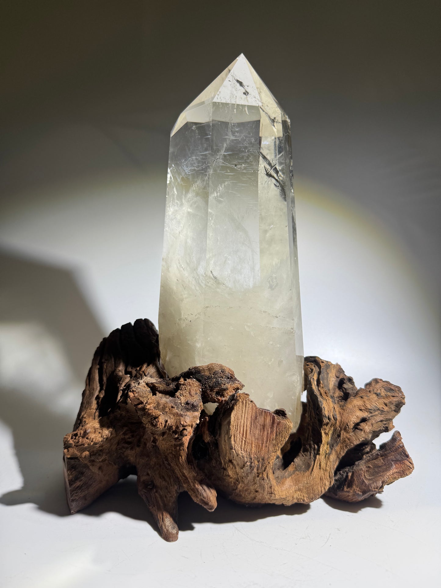 Monumentale Bergkristallspitze extraklar – Naturkristall mit Wurzel 27 cm