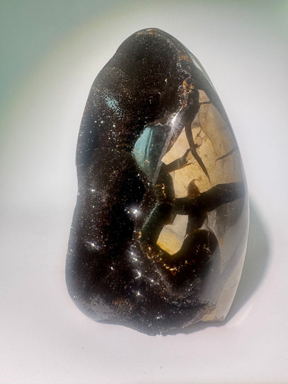 Septarien Drachenstein 12.3cm – Funkelnde Formation aus Madagaskar 🐉 Naturkristall mit Calcit & Aragonit