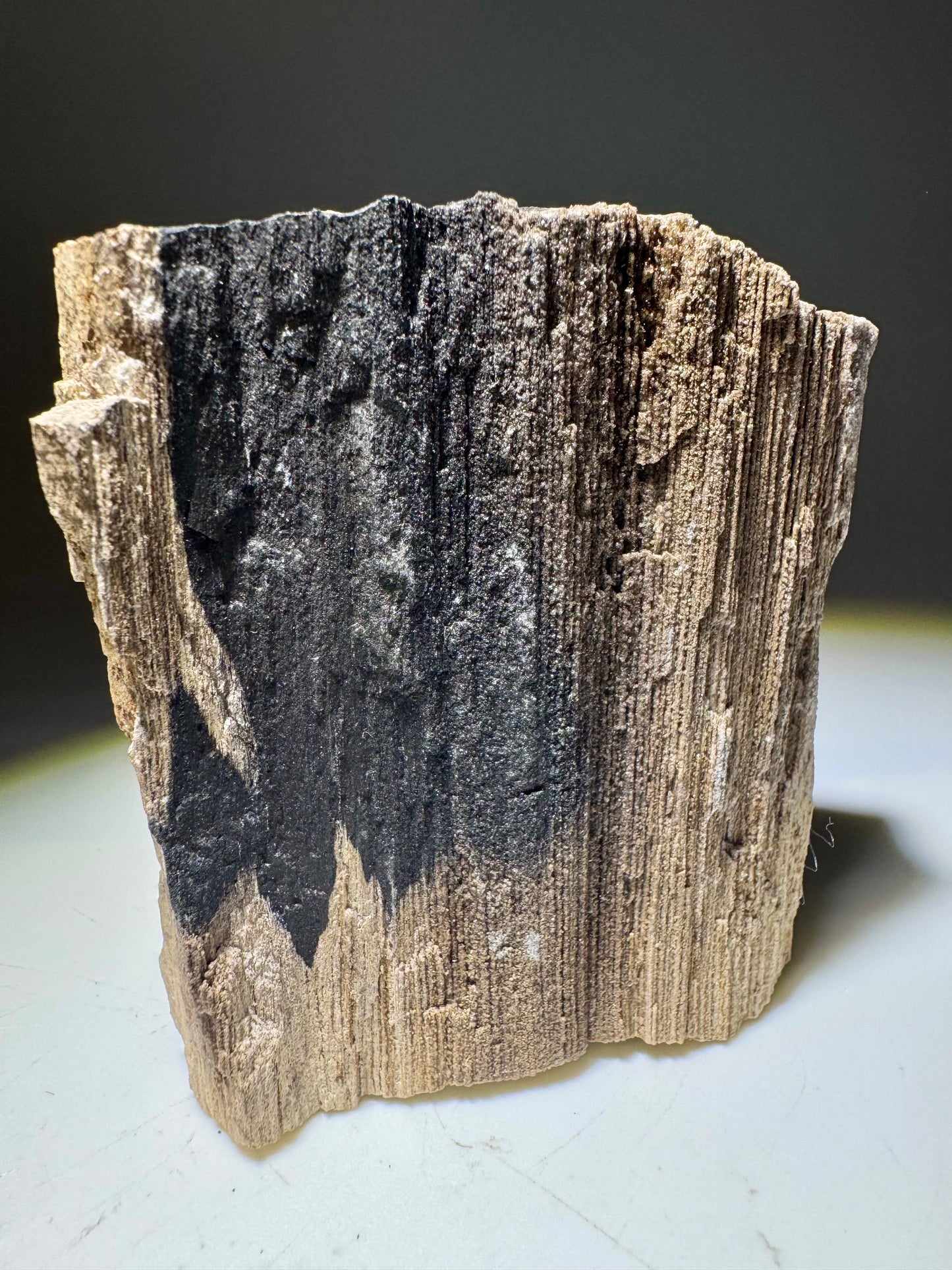 Versteinertes Holz ca. 7 cm – Feenholz mit funkelnden Quarzkristallen