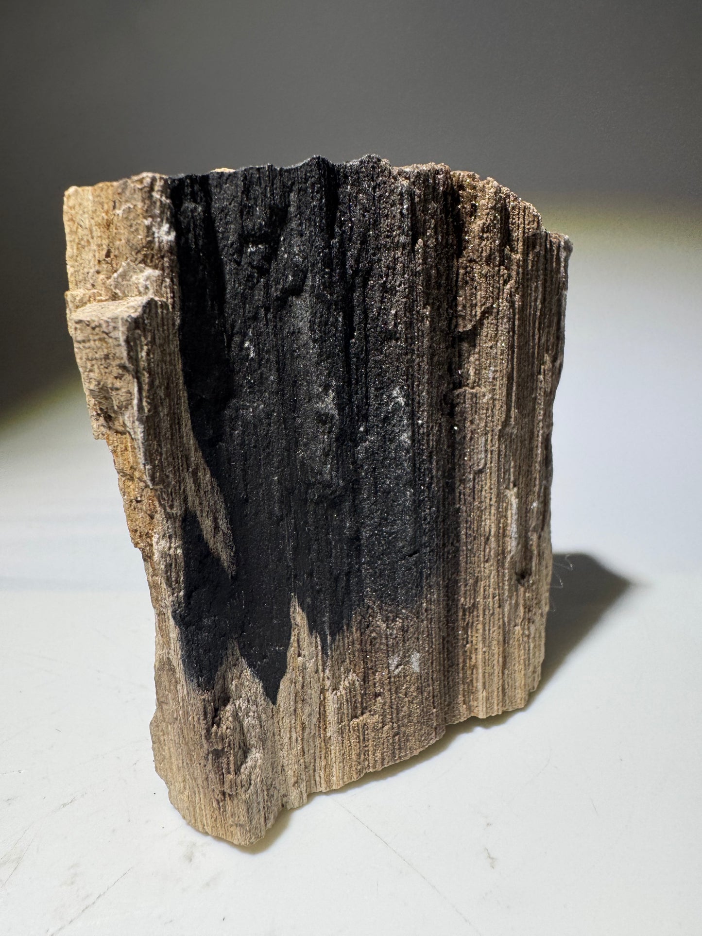 Versteinertes Holz ca. 7 cm – Feenholz mit funkelnden Quarzkristallen