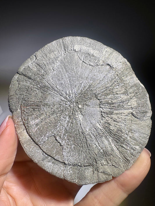 Sole di pirite 8,5 cm 120 g | Minerale naturale Sun USA