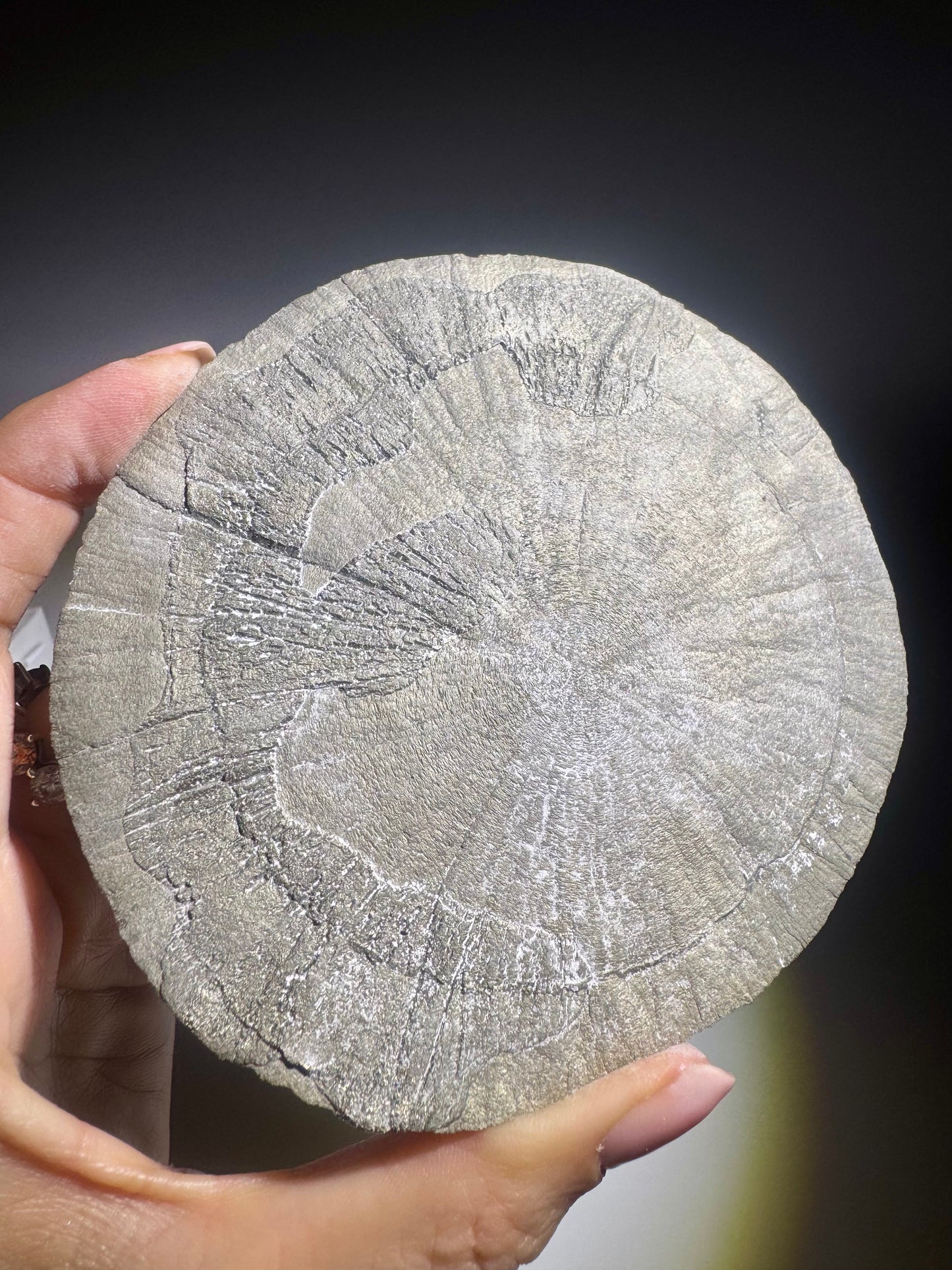 Pyrit Kristallsonne XL 11 cm, 234 g – kraftvolle Naturstruktur in Top Qualität