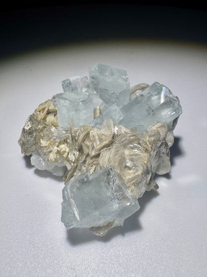 Seltener Aquamarin mit Mica auf Matrix – 1A Sammlerqualität
