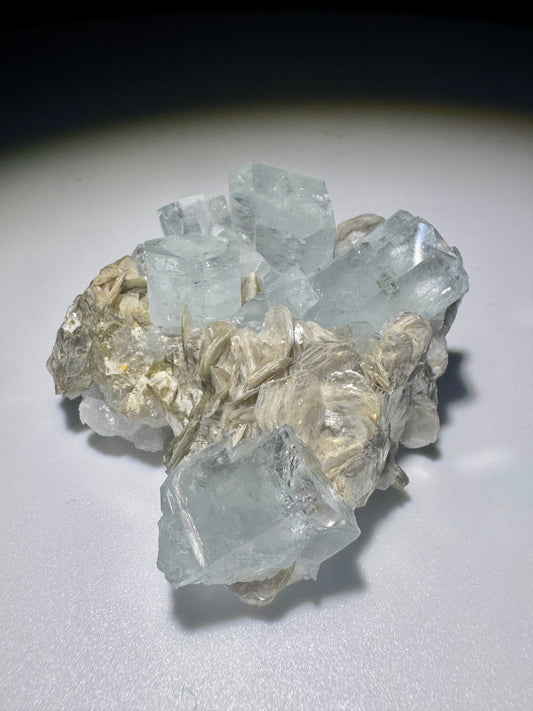 Seltener Aquamarin mit Mica auf Matrix – 1A Sammlerqualität