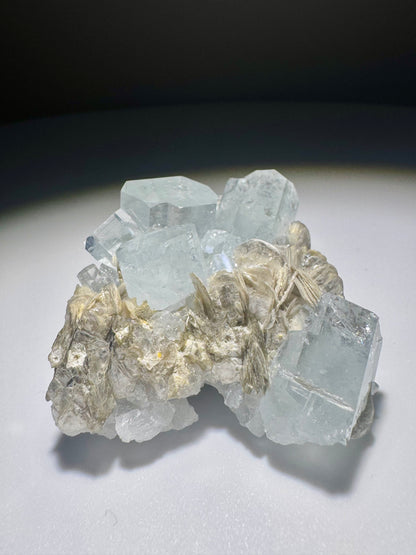 Seltener Aquamarin mit Mica auf Matrix – 1A Sammlerqualität