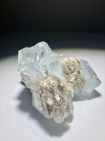 Seltener Aquamarin mit Mica auf Matrix – 1A Sammlerqualität