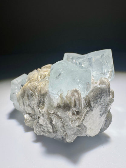 Seltener Aquamarin mit Mica auf Matrix – 1A Sammlerqualität