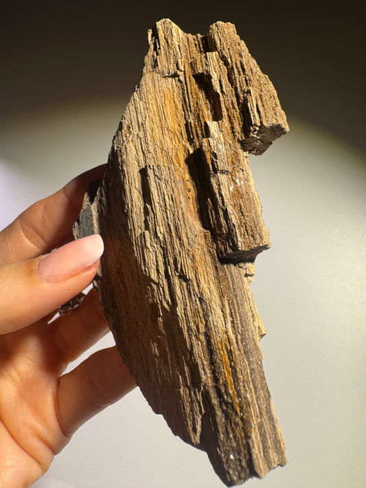 Funkelndes Feenholz 12 x 5,3 cm – Versteinertes Naturholz mit Quarzkristallen